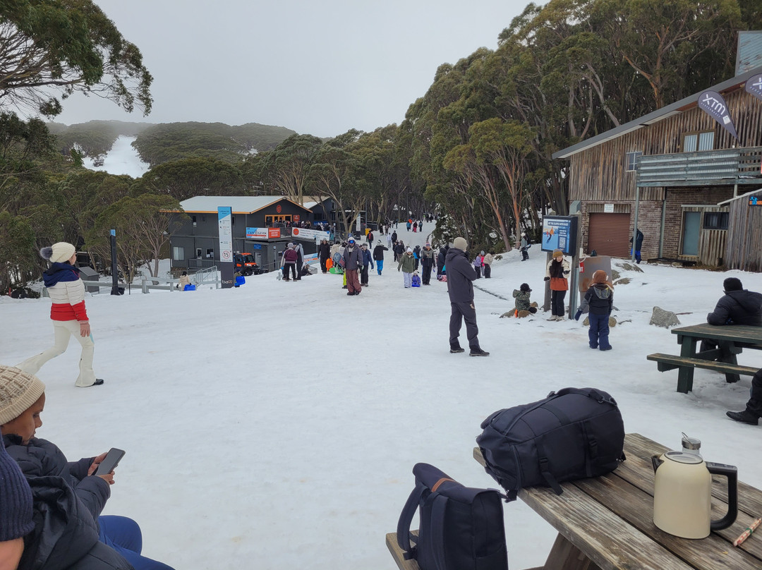 Mount Baw Baw Alpine Resort-Mount Baw Baw必去景点
