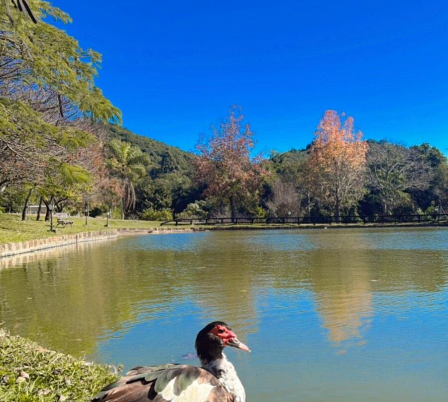 Maestro Termas Park Hotel主图