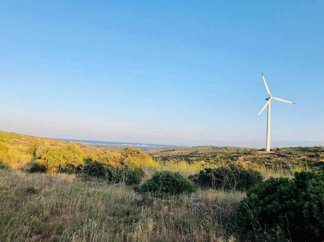 Quadiloc-Fitou必去景点