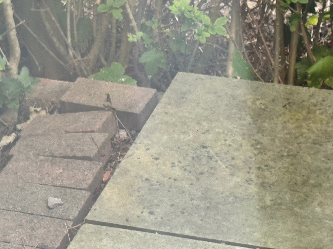 Park Hall Hotel and Spa Wolverhampton主图