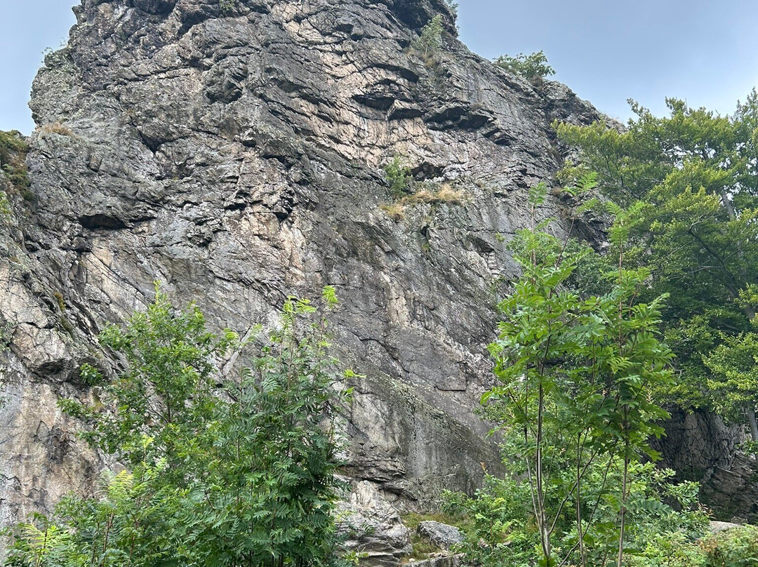 Bruchhauser Steine-Olsberg必去景点