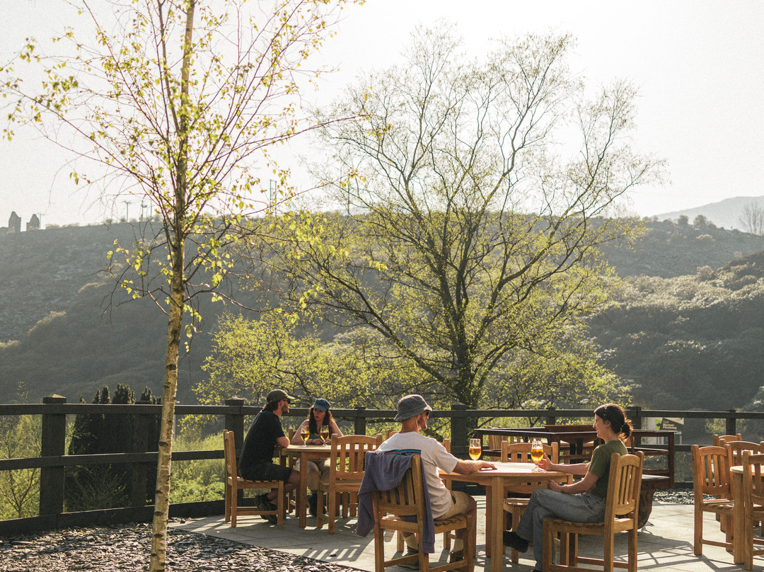 Plas Weunydd Restaurant