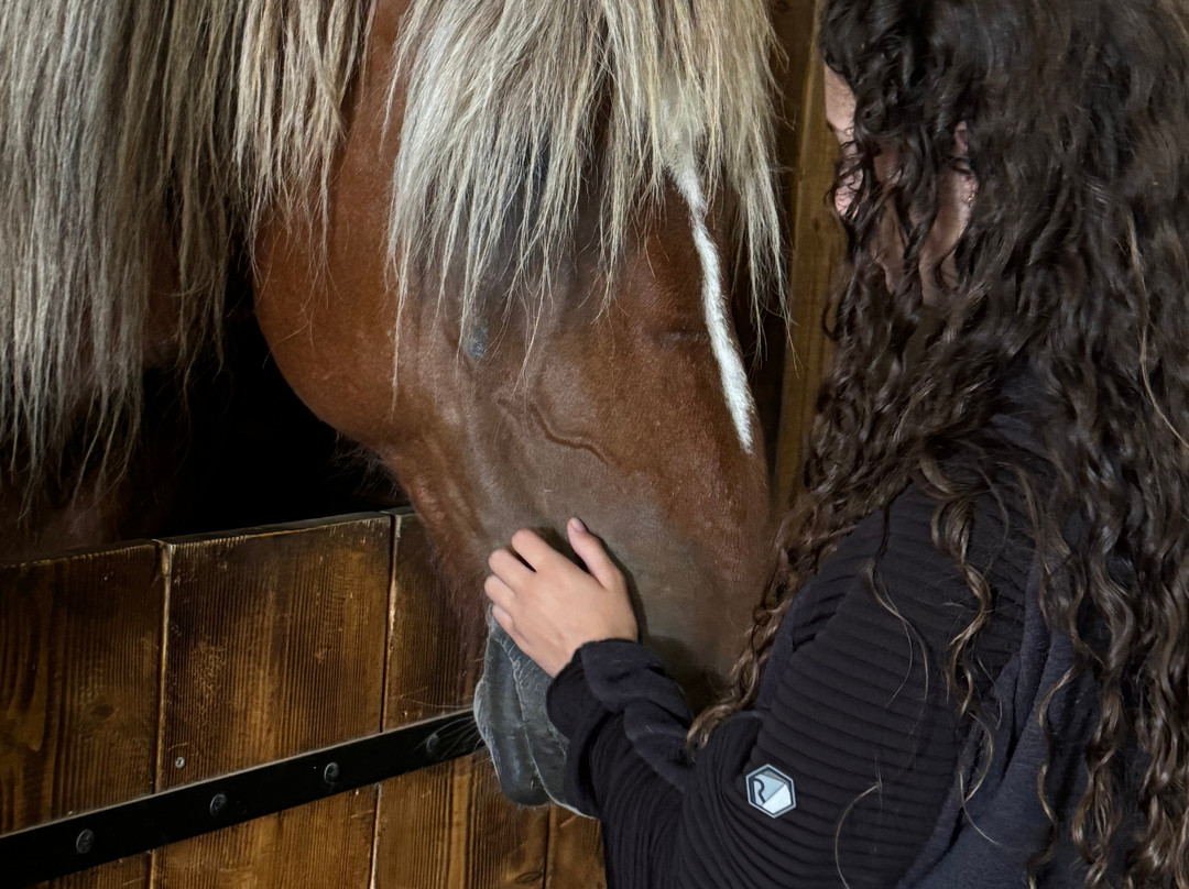 Le Vieux Mas-Beaucaire必去景点