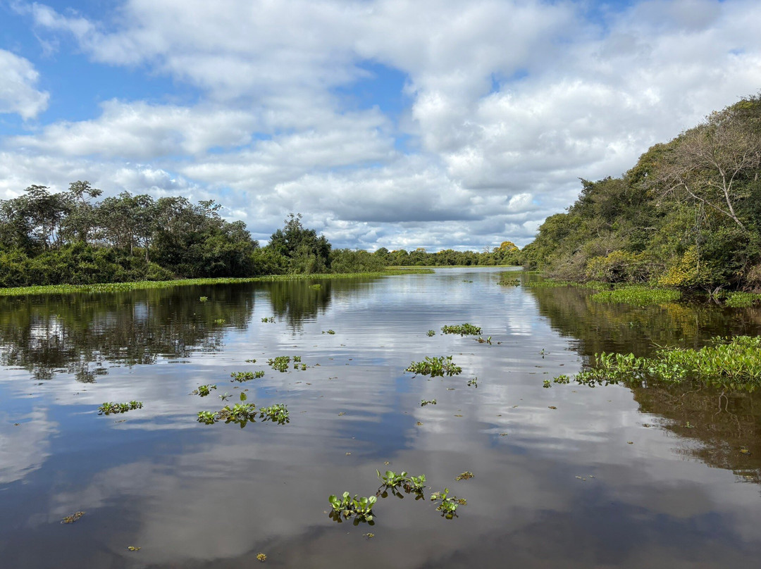 Pantanal Safaris-波科内必去景点