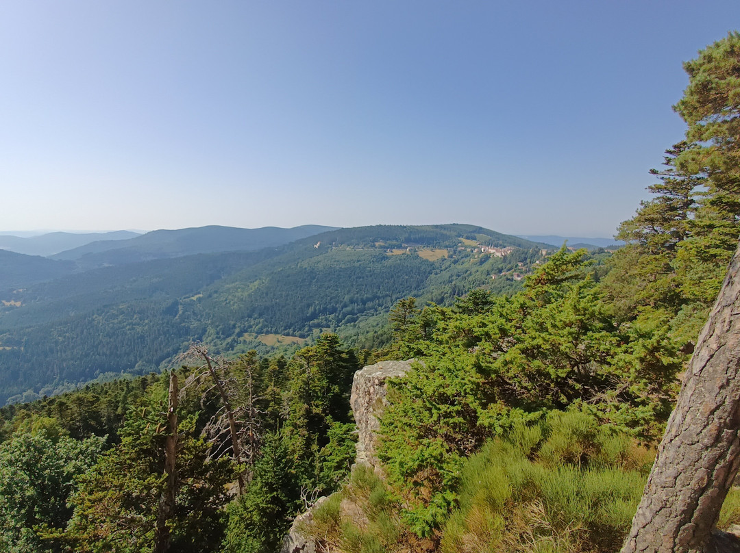 Visites guidees de Lalouvesc-Lalouvesc必去景点