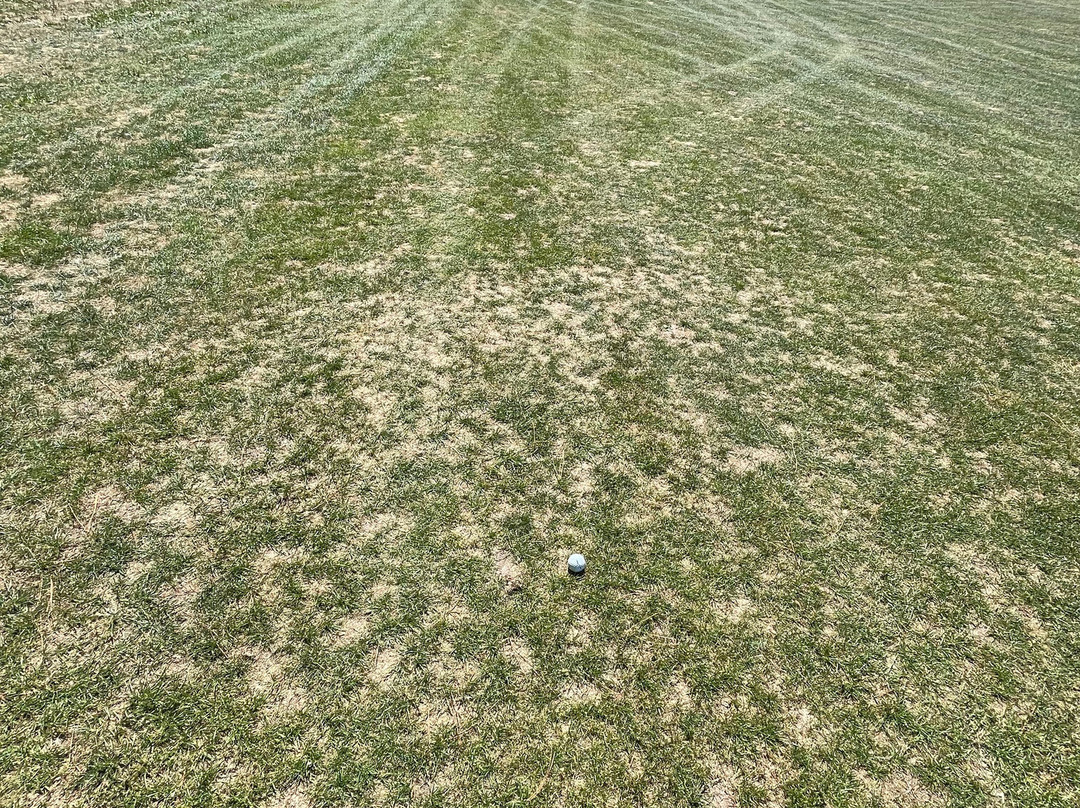 Golf International Barrière La Baule-拉博尔埃斯库布拉克必去景点