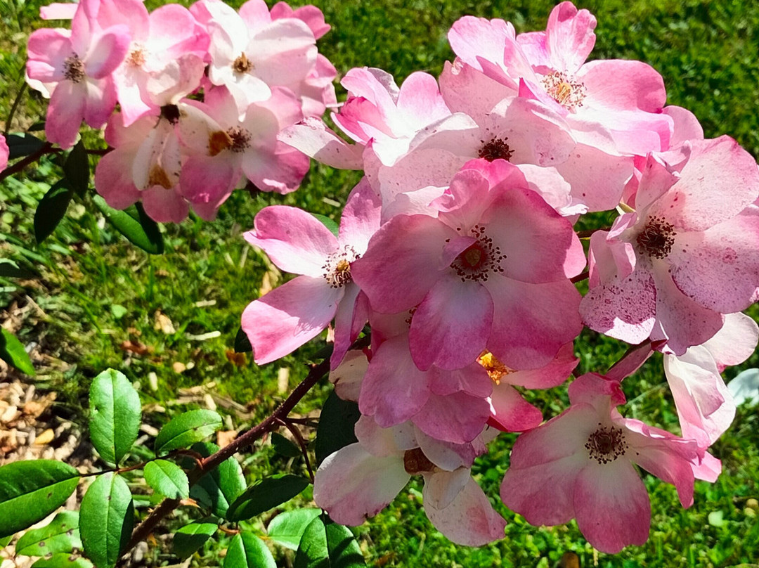 Abbaye Royale de Chaalis-Fontaine-Chaalis必去景点