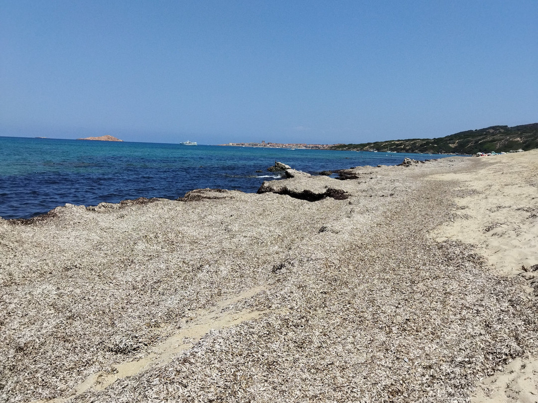 Spiaggia Li Feruli-Badesi必去景点