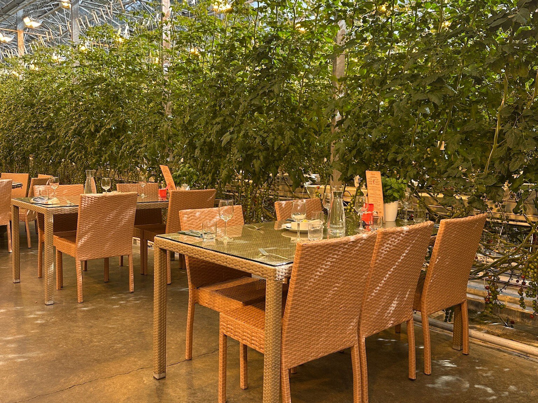 Nature Explorer Tours-雷克雅未克必去景点