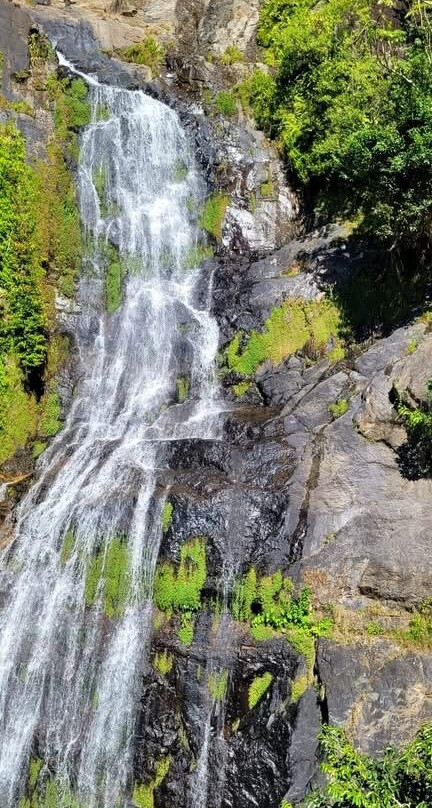 奎伊斯市雷吉斯公园酒店主图