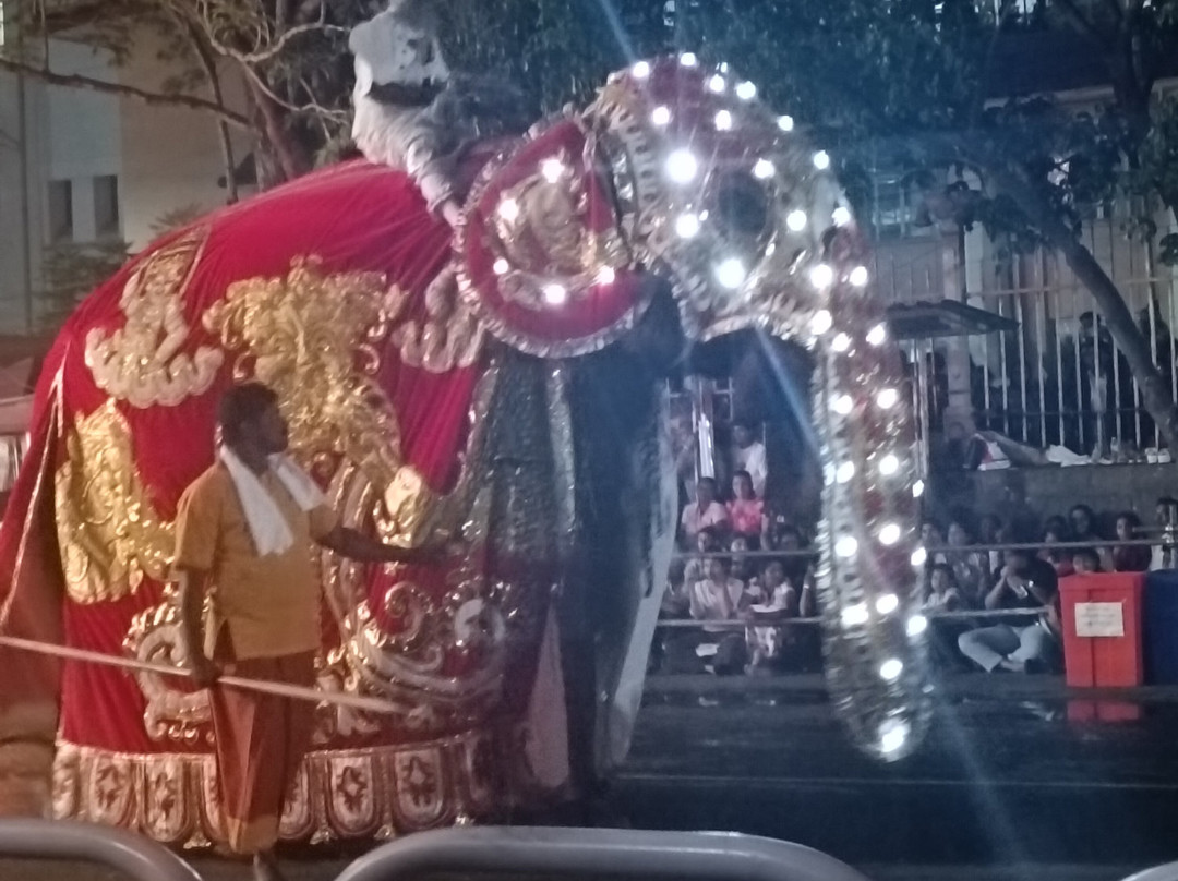 Esala Perahera Festival-康提必去景点