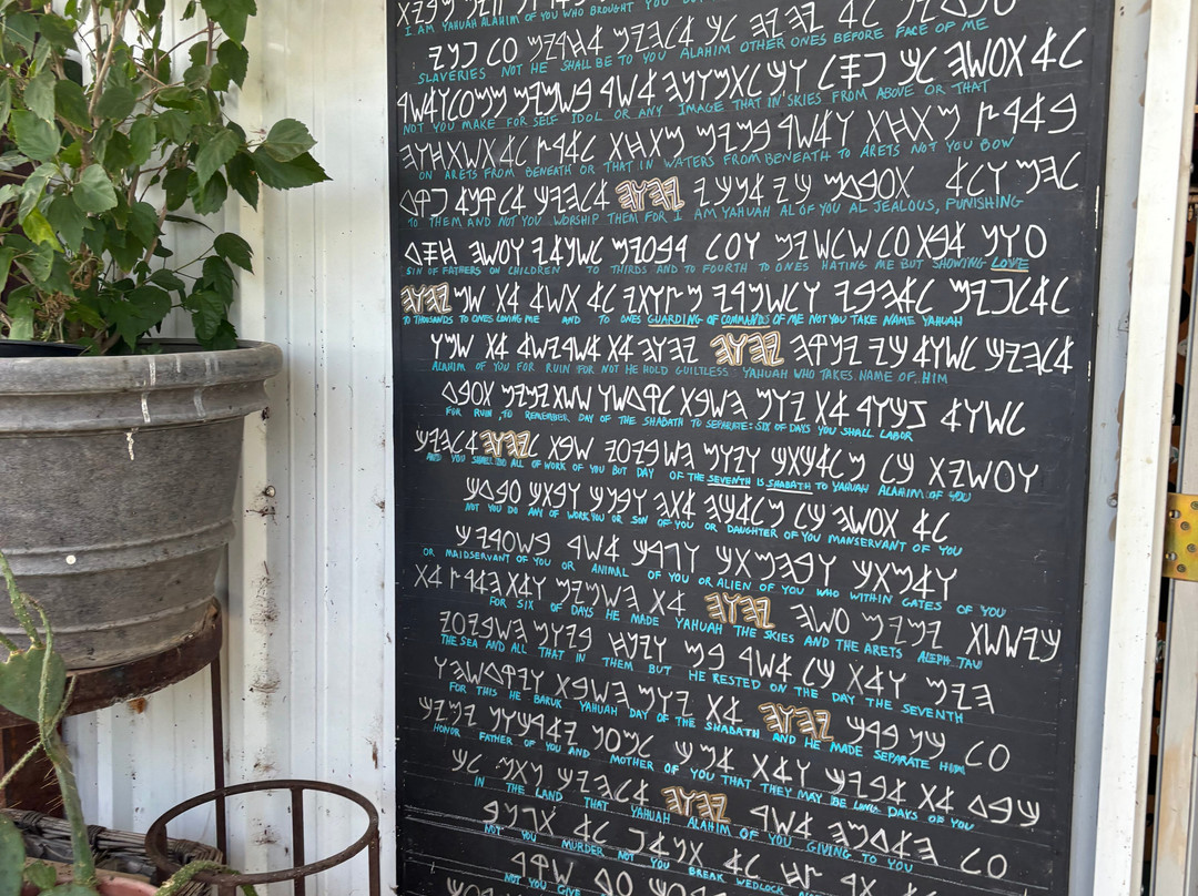 My Joshua Farm-拉伯克县必去景点