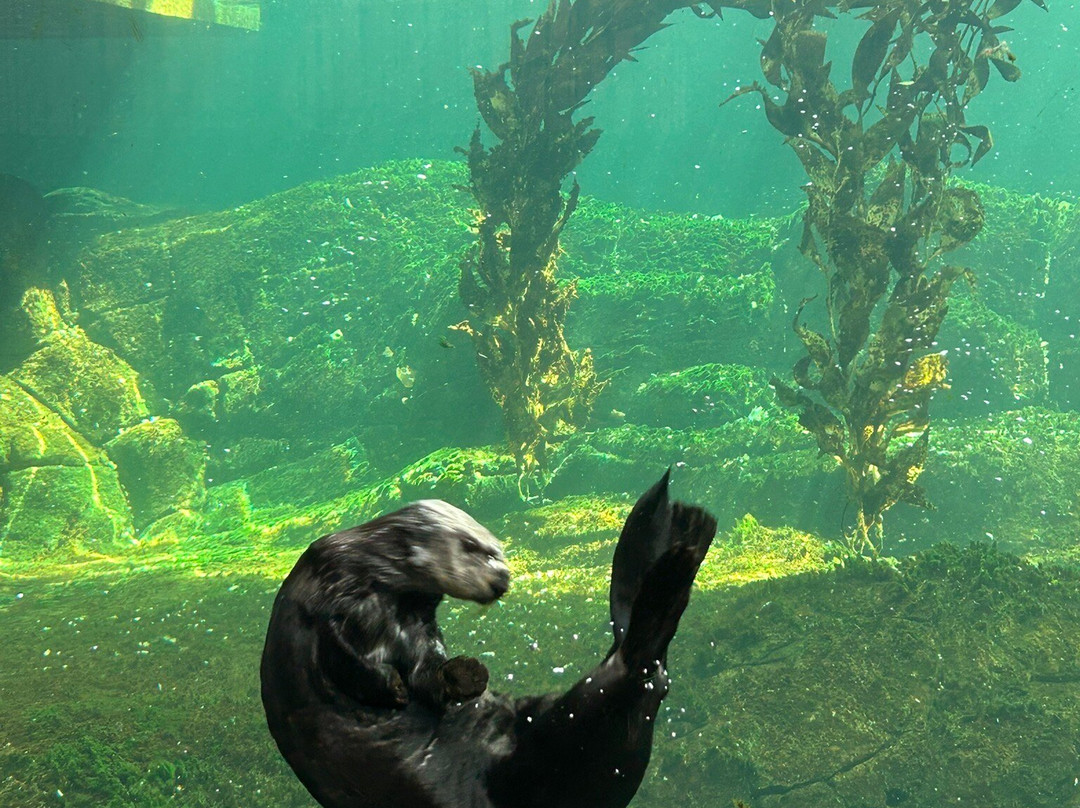 丹麦国家水族馆-哥本哈根必去景点