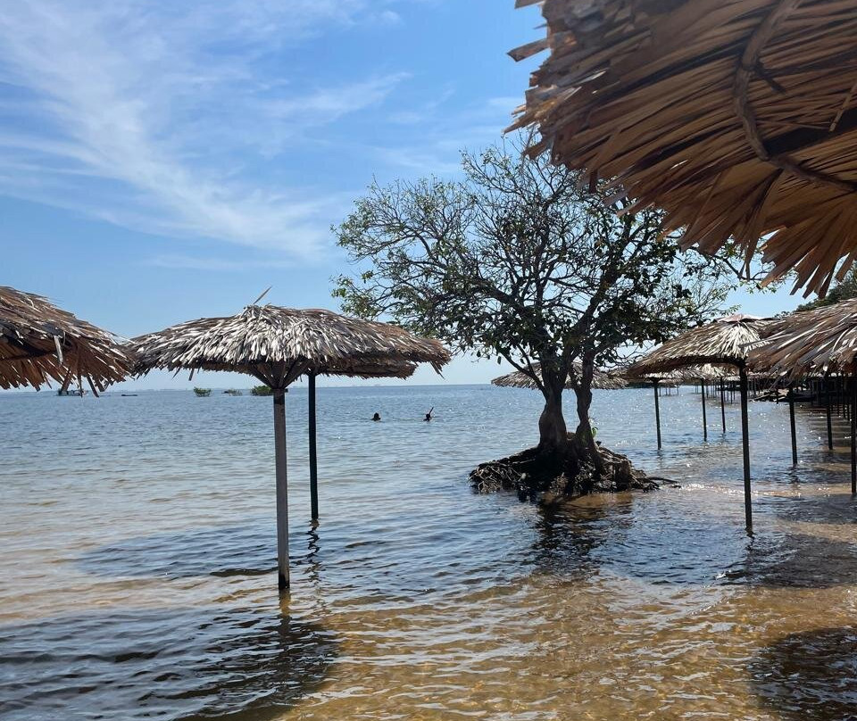 Selvagem Tours-Alter do Chao必去景点