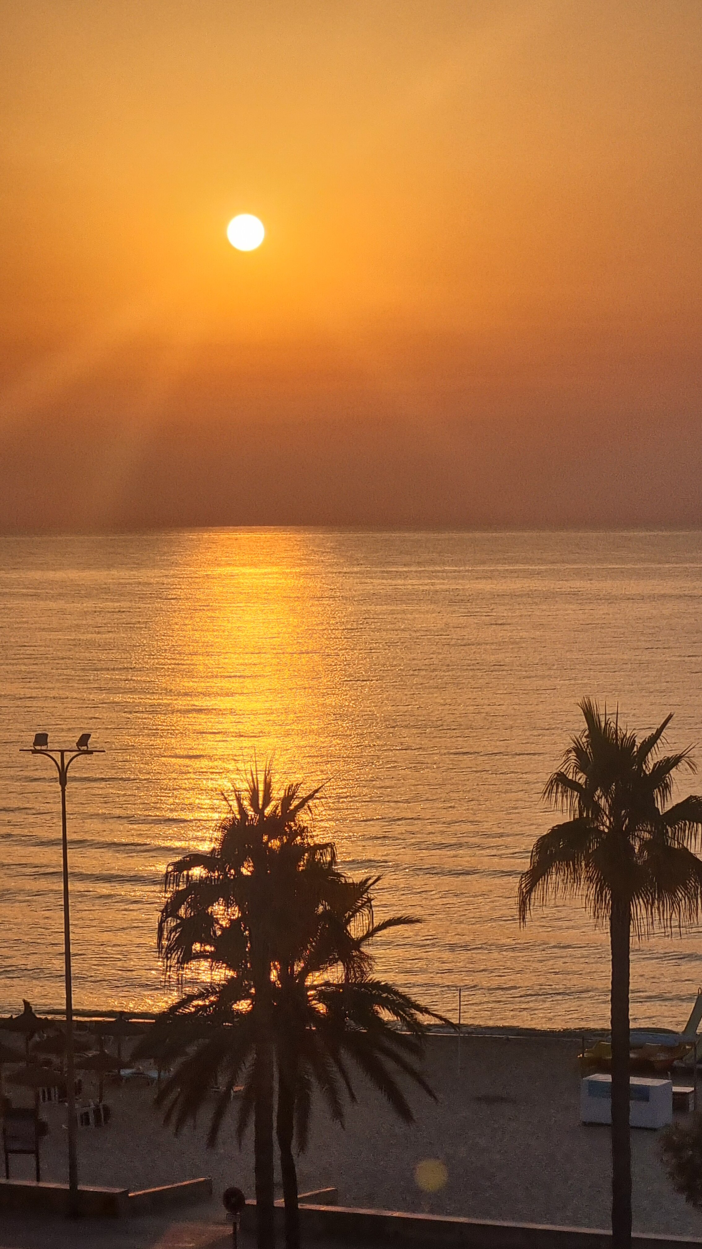 Hipotels Hipocampo - Adults Only-官方