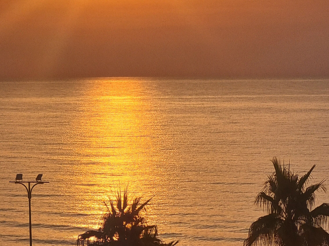 Hipotels Hipocampo - Adults Only主图