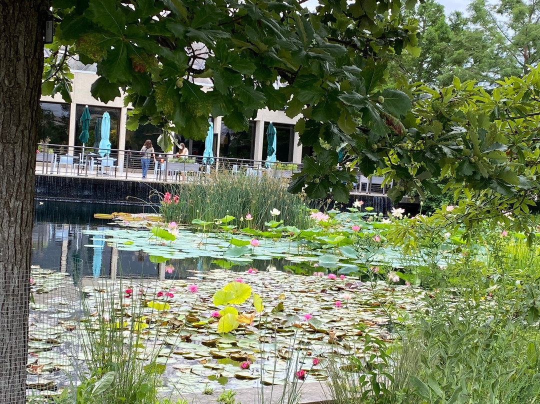 Greater Des Moines Botanical Garden-得梅因必去景点