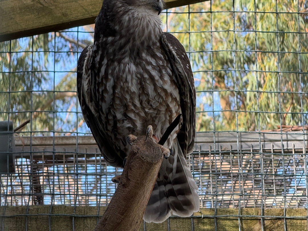 Warrnambool Wildlife Encounters-瓦南布尔必去景点