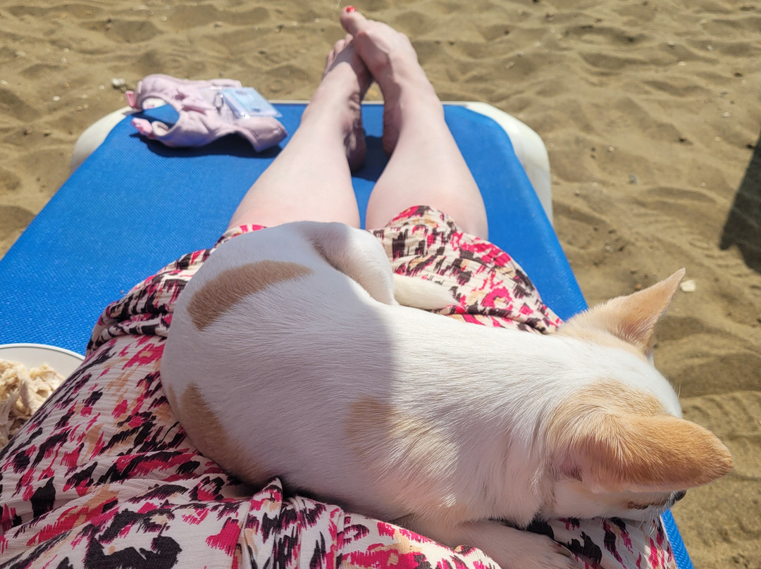 Steve's Beach-桑当必去景点