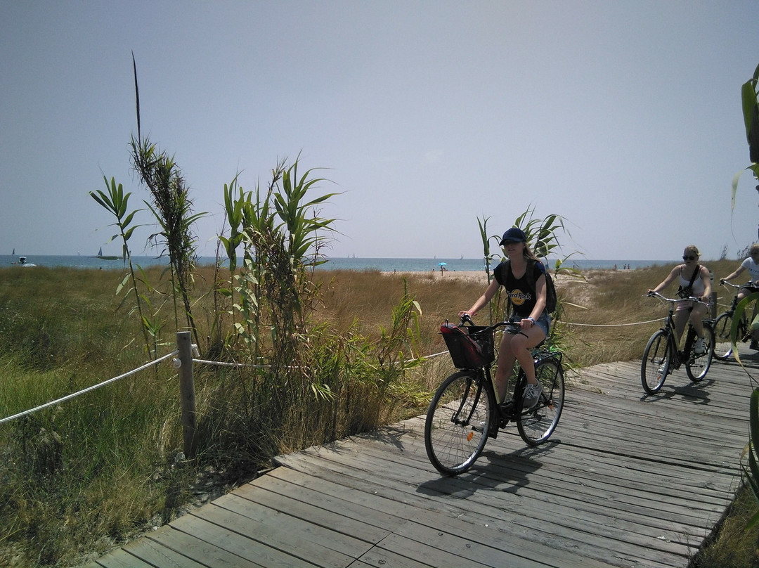 BikeAlao - Bike Rental and Tours in Valencia-巴伦西亚必去景点
