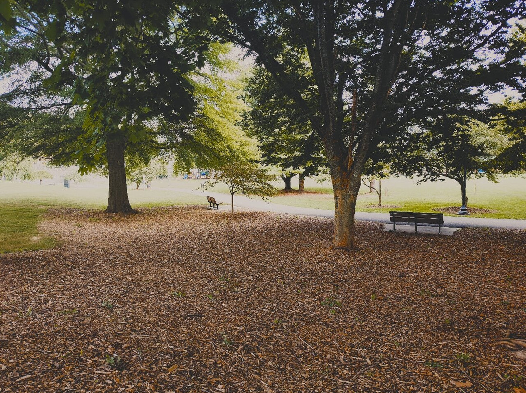 Withers Park-Wytheville必去景点