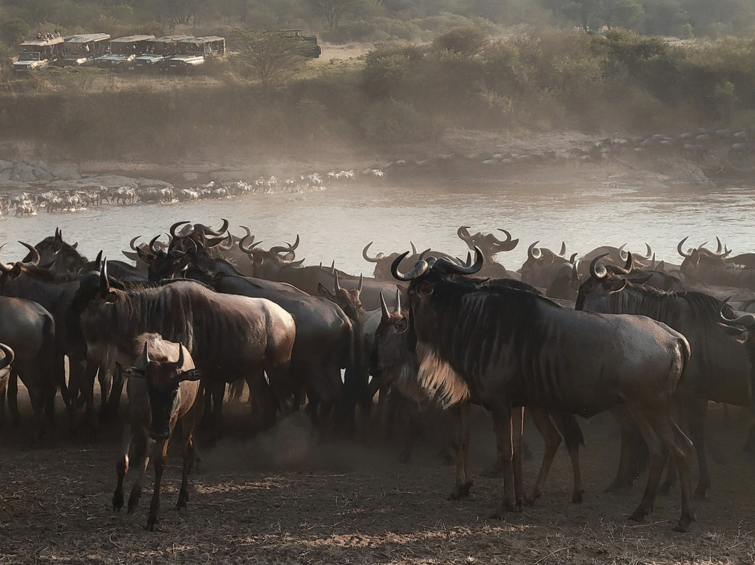 World Tours & Safaris Tanzania-阿鲁沙必去景点