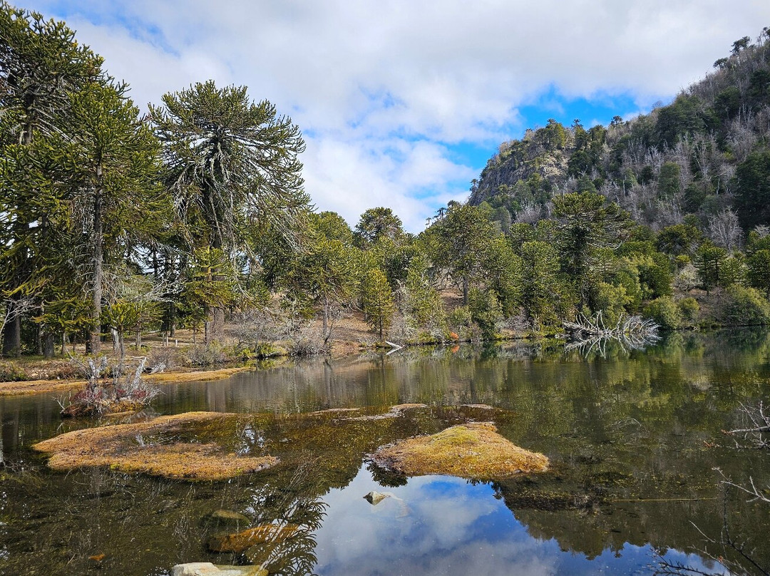 Cinco Lagunas-Villa Pehuenia必去景点