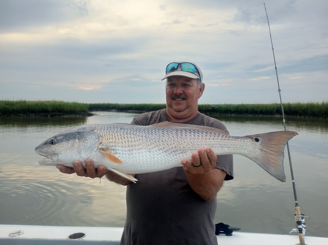 Charleston Fishfinder Charters-棕榈岛必去景点