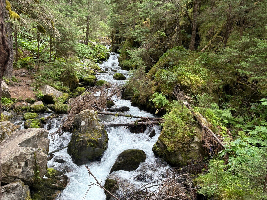 Virgin Creek Falls Trail-戈德伍德必去景点