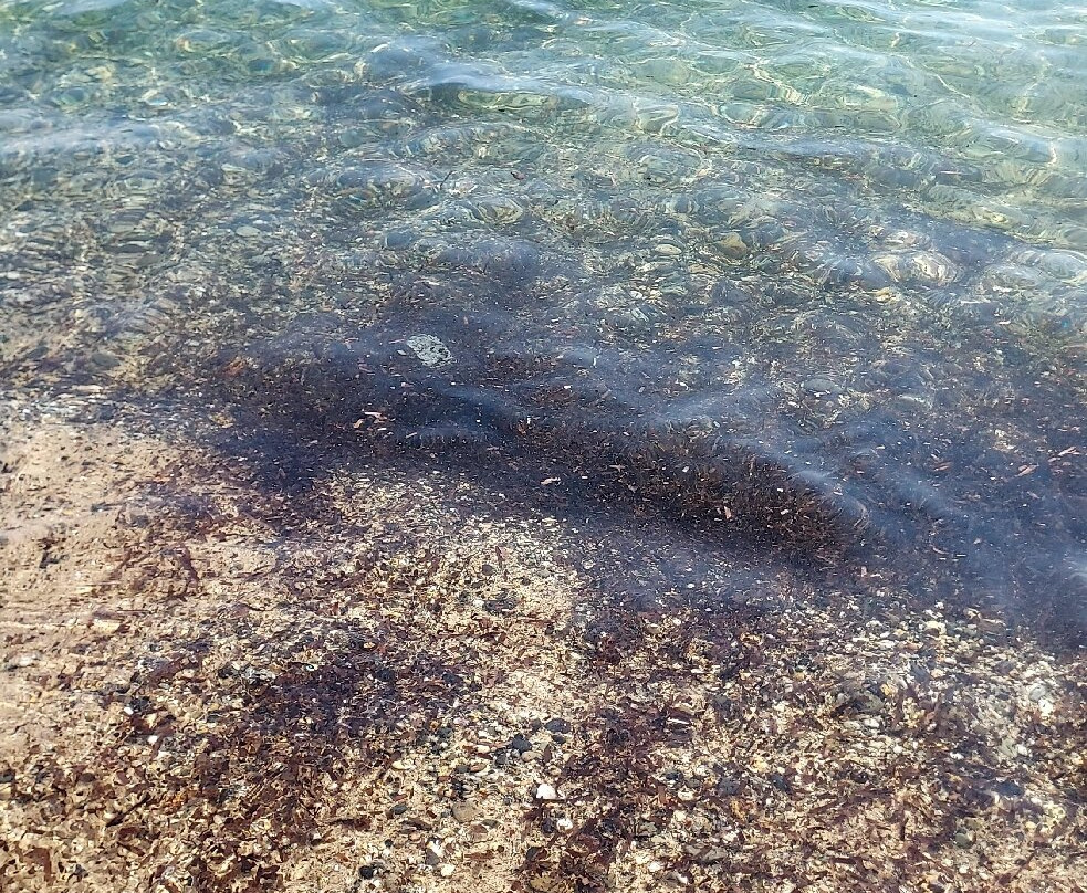 Spiaggia di Nora-普拉必去景点