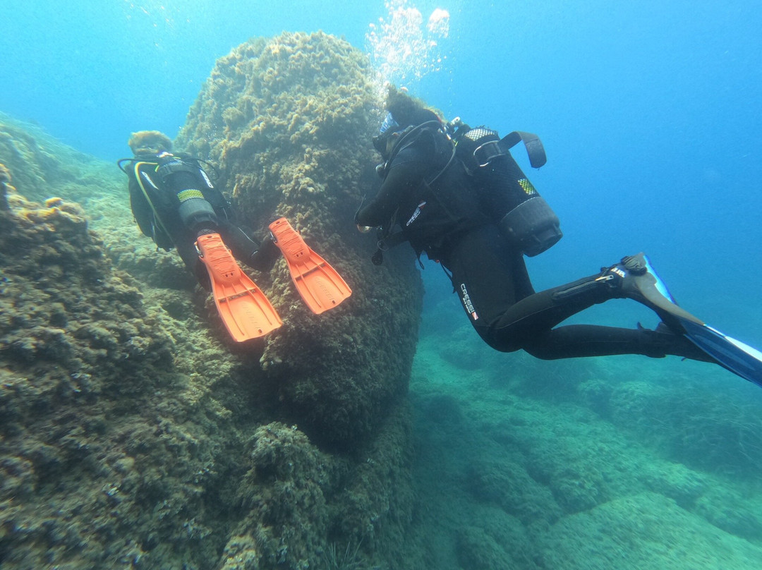 Albatros Diving-爱博纳必去景点