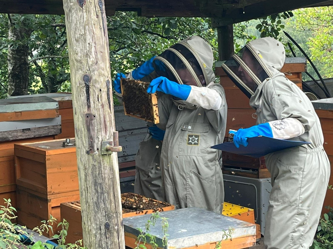 Cronkshaw Fold Farm-Rossendale必去景点
