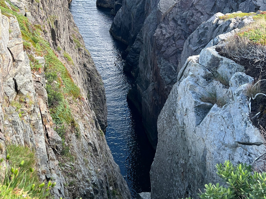 Spiller's Cove-Twillingate必去景点