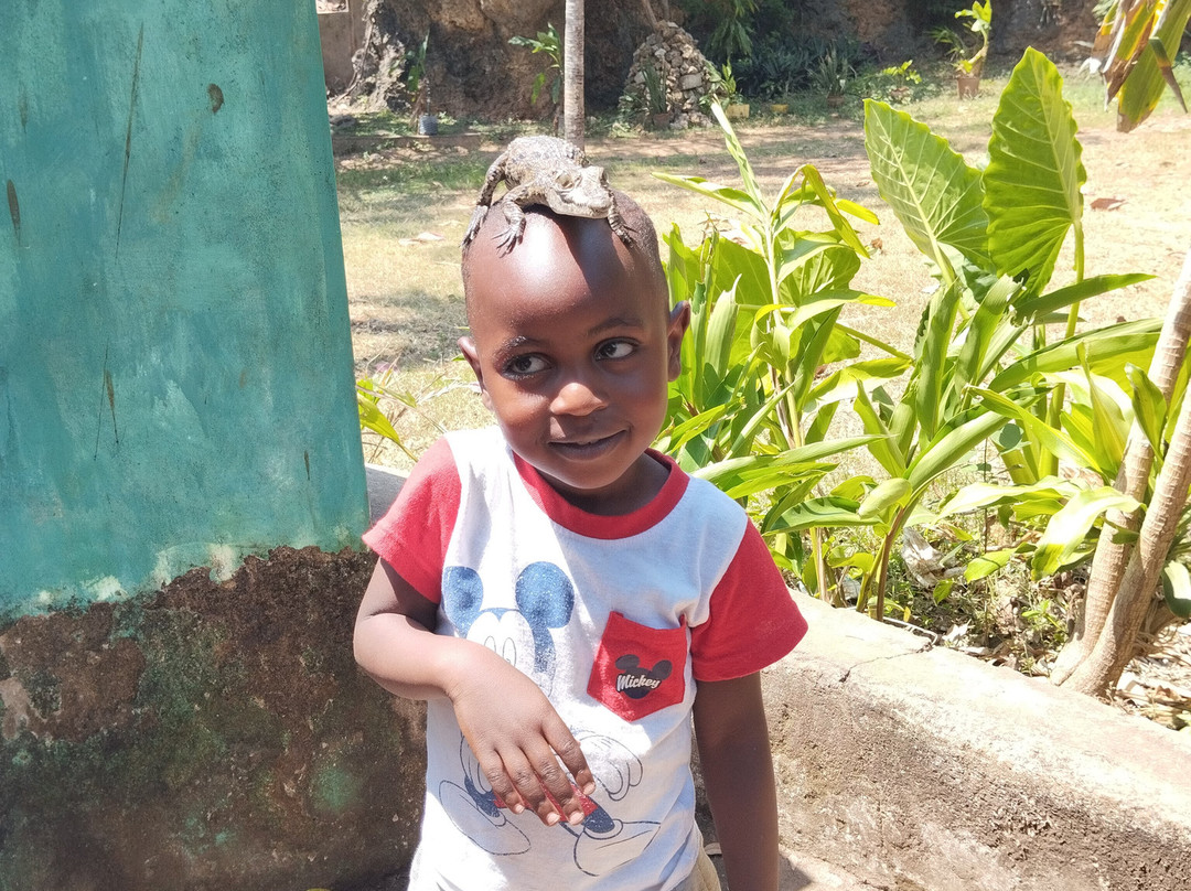 Oloirien Adventures-纳罗克必去景点