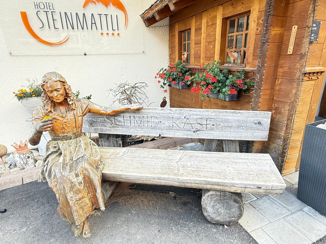 Hotel Steinmattli主图