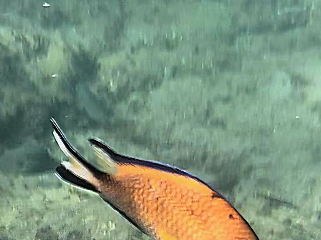 Playa De Montaña Roja-布兰卡滩必去景点