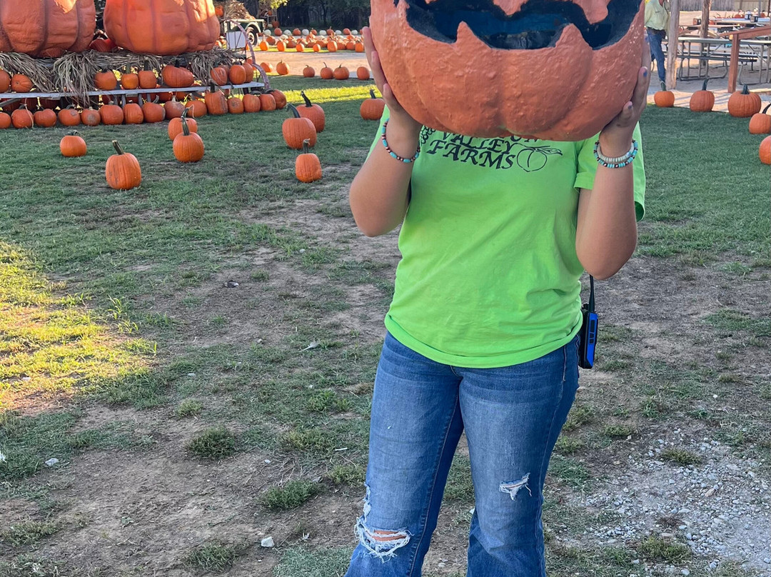 Denton Valley Farms-Clyde必去景点