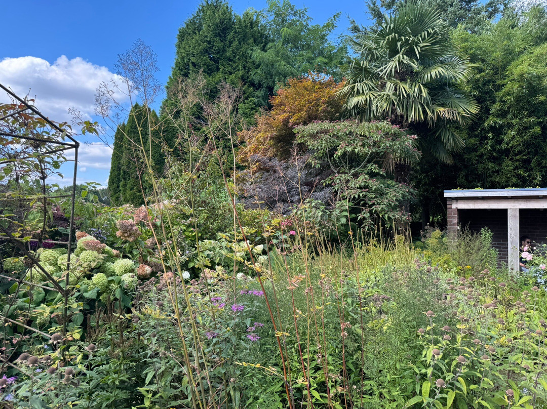 The Hidden Garden-芬洛必去景点