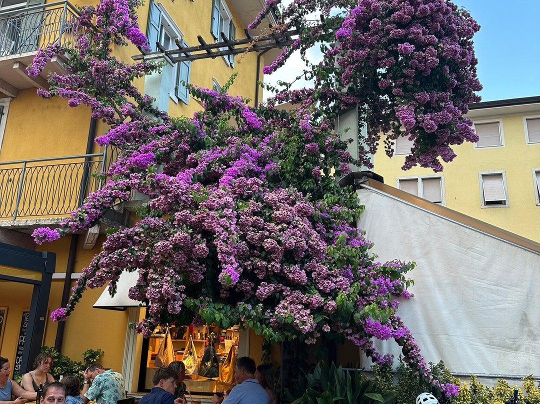 Bella Vita Ristorante