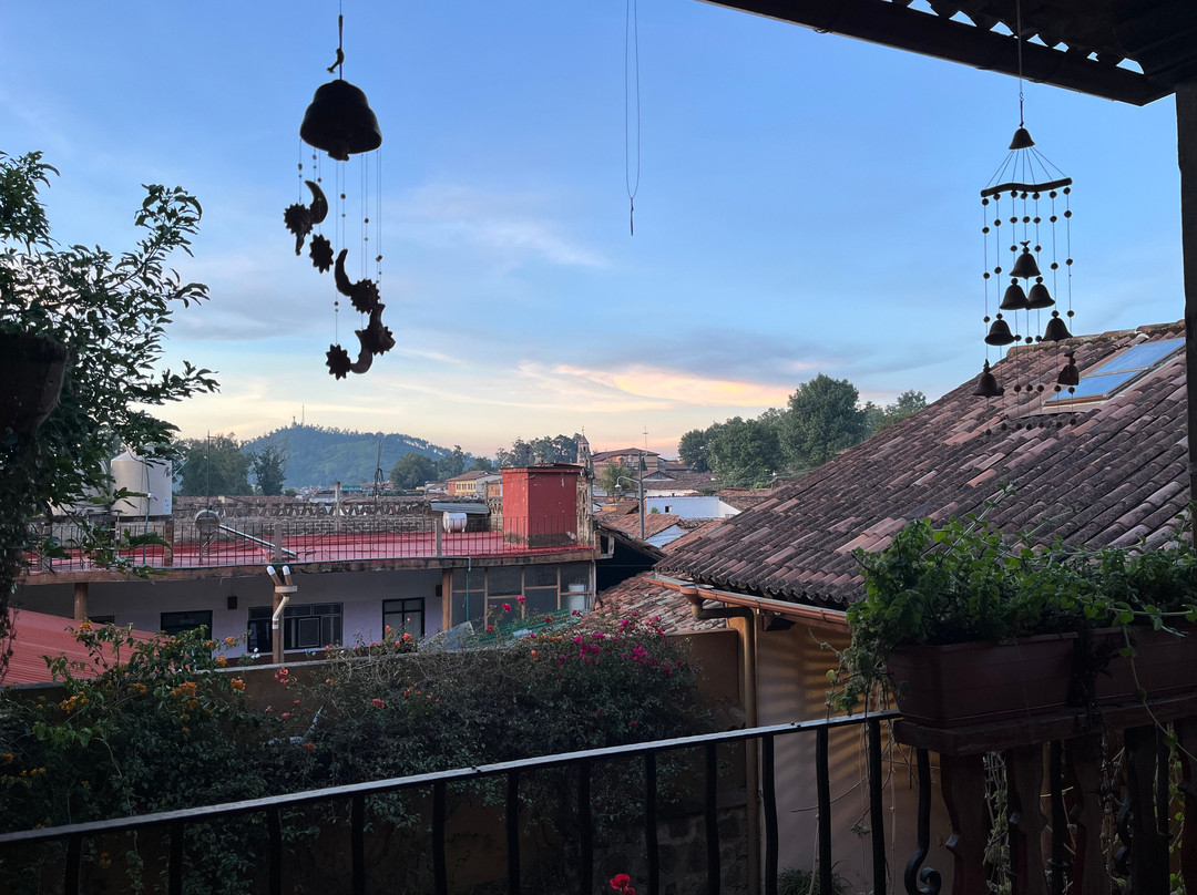 Hotel Posada Yolihuani主图