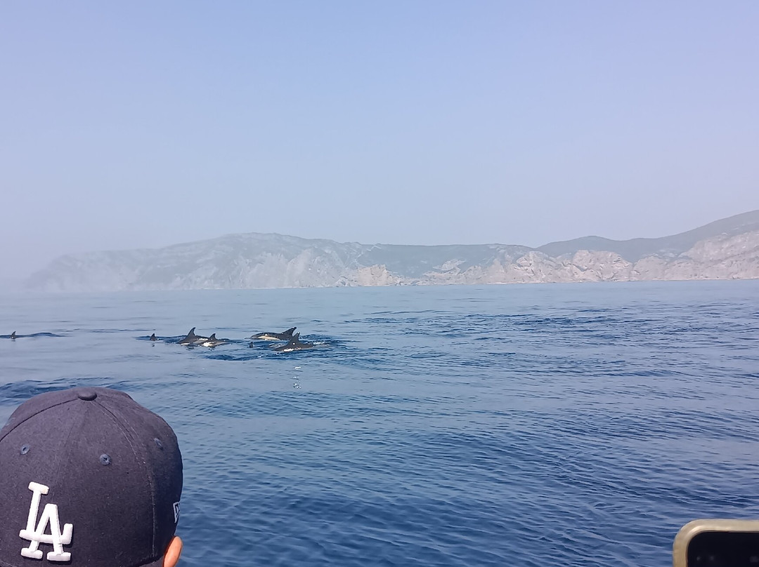 Sado Emotion-特罗亚必去景点