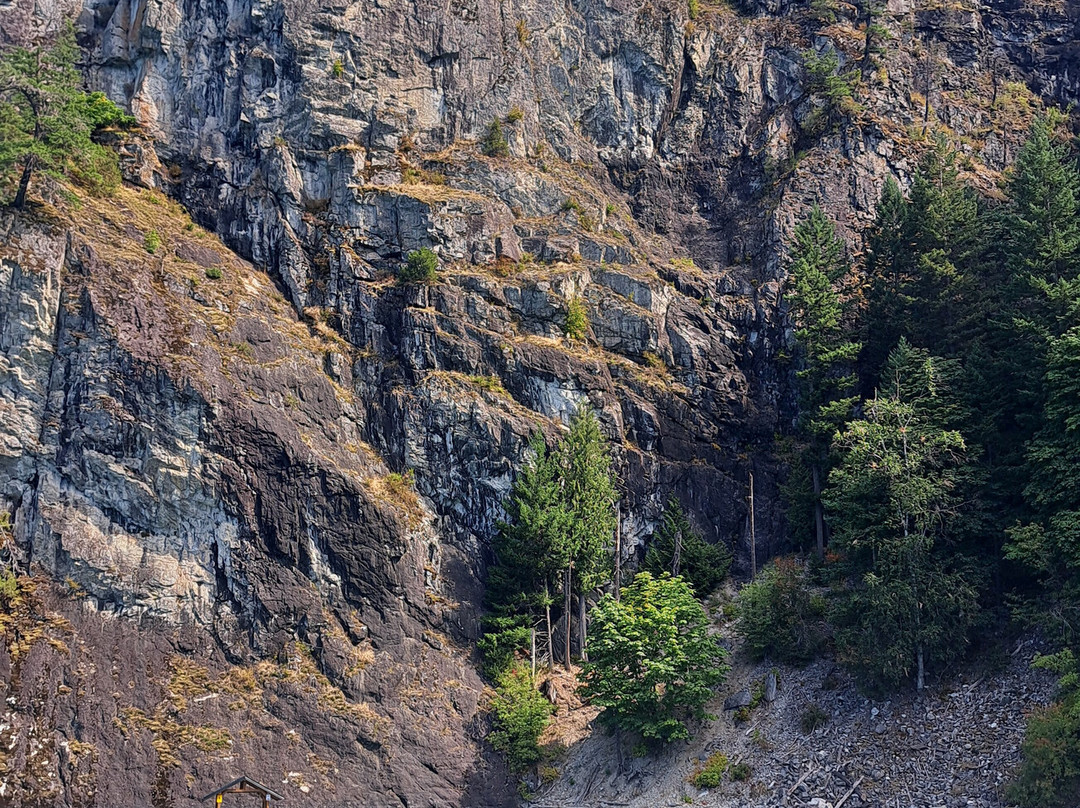 Shoreline Tours-哈里逊温泉必去景点