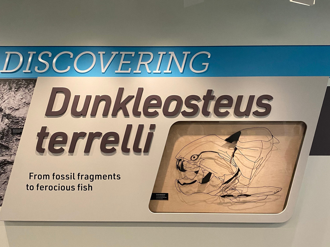 Cleveland Museum of Natural History-克利夫兰必去景点