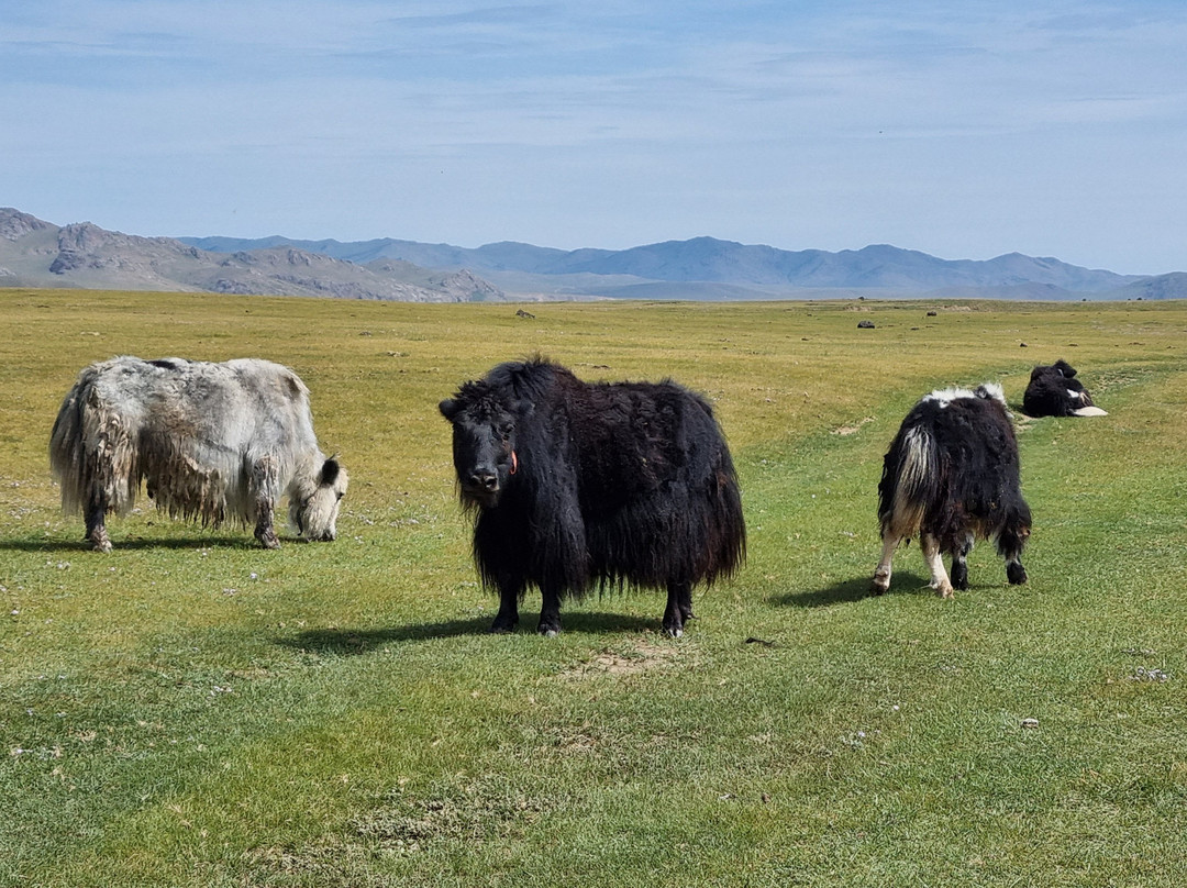 Gaya's Guest House主图