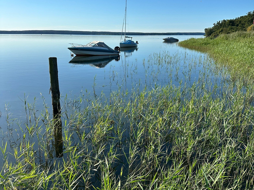 Landhotel Rosenhof主图