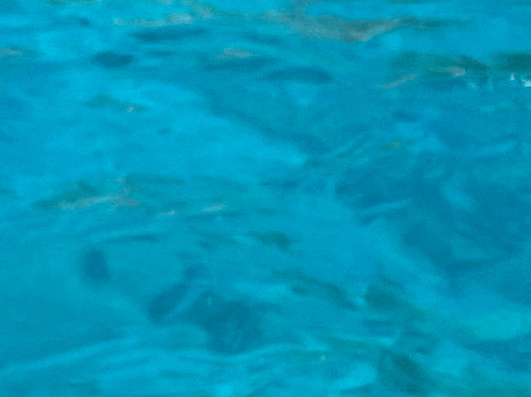 Karibu Diving & Travel-San Teodoro必去景点