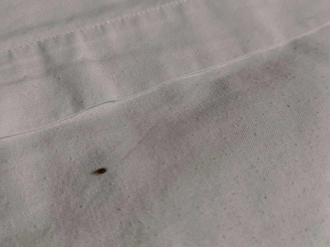 Hotel Relais Ras El Maa主图