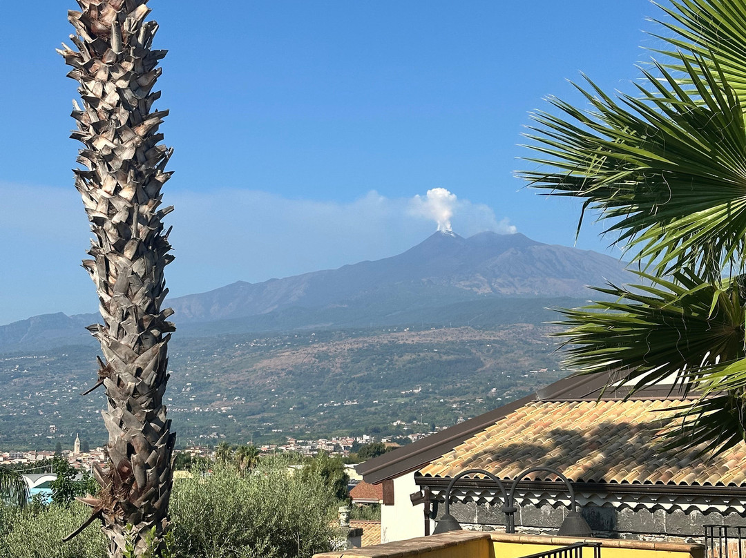 Agriturismo Serra San Biagio主图