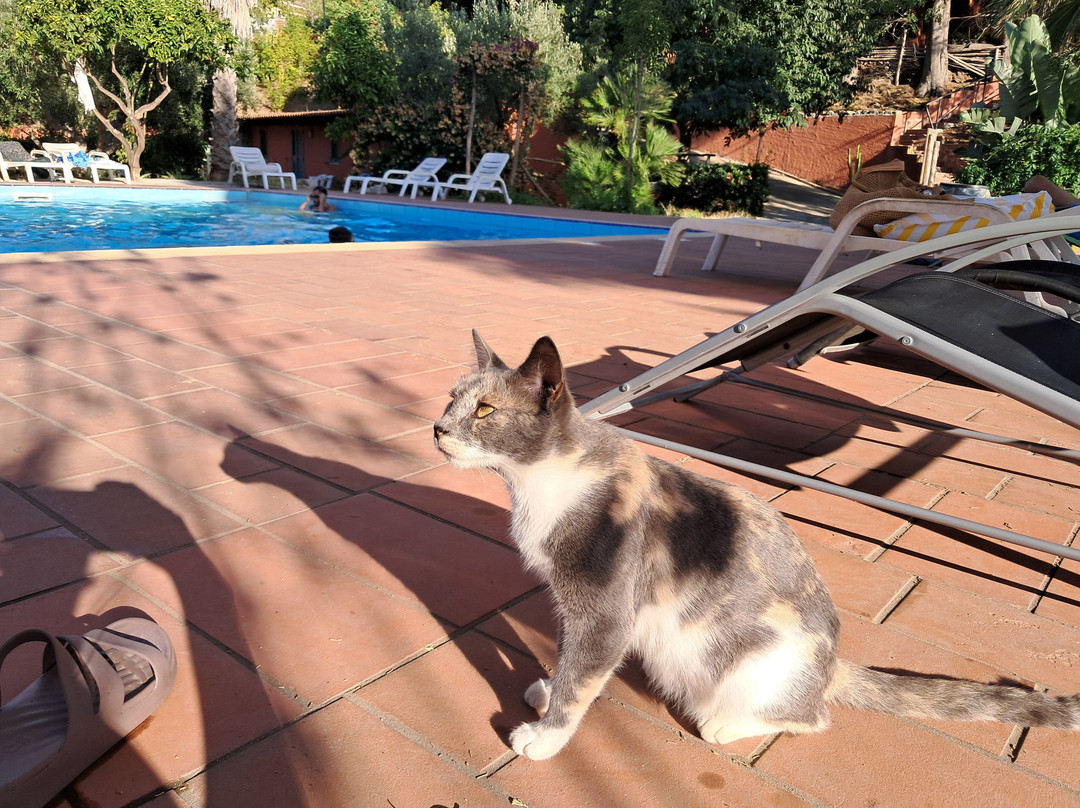 Agriturismo Ruralia主图