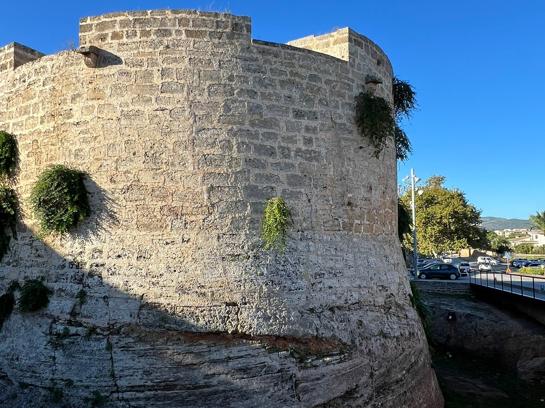 Murada Medieval D'alcúdia-阿库迪亚必去景点